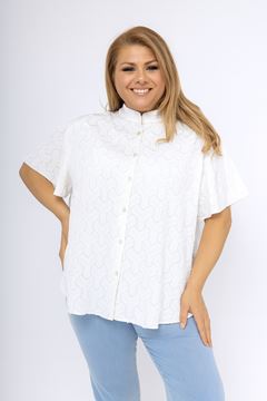 Picture of CURVY GIRL EMROIDERED BLOUSE